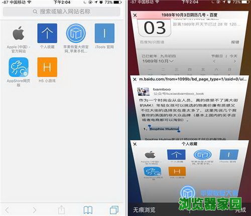 适合苹果手机的浏览器有哪些[多图]图片2